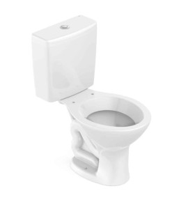 Bacia Com Caixa Acoplada Ecoflush Saveiro Branco Celite