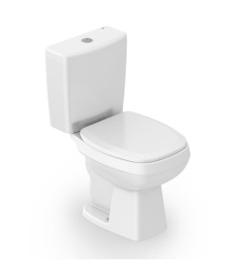 Bacia Com Caixa Acoplada Ecoflush 3/6 Lts P City Branco Celite